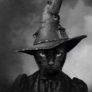 Meet your Posher, Corrinne